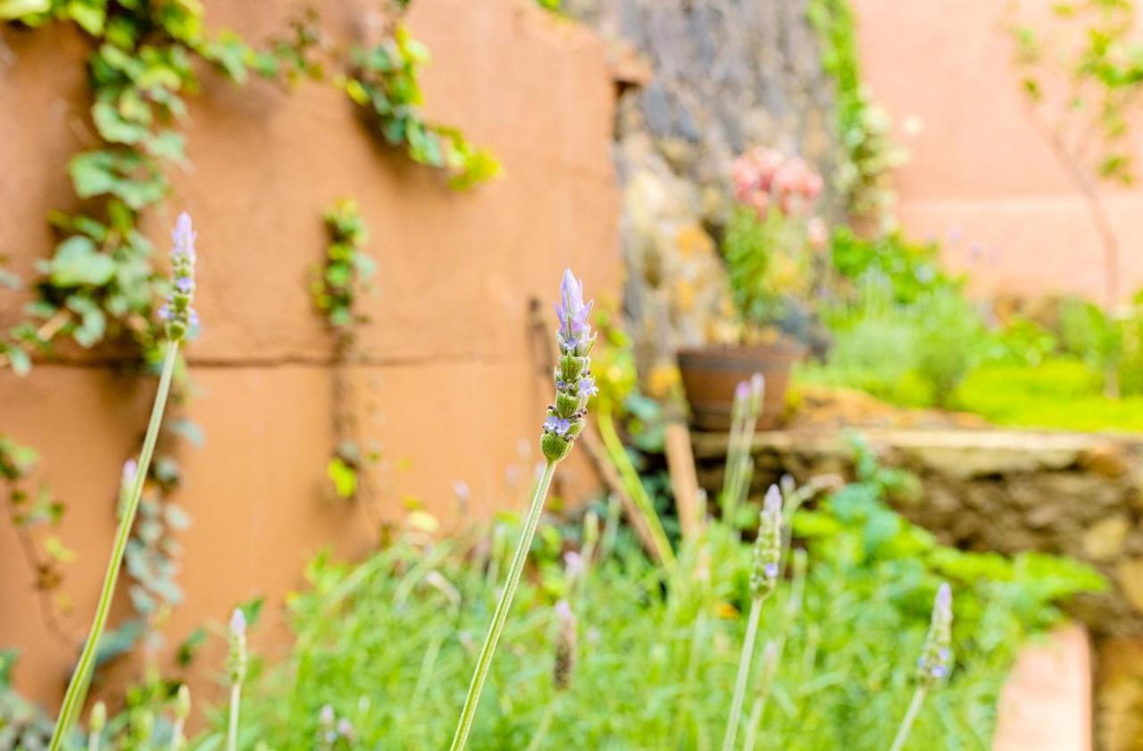 Casa Lavanda Hotel Boutique Patzcuaro Ngoại thất bức ảnh